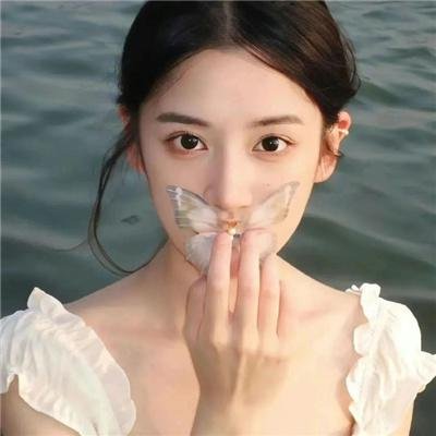 探索者的羽翼