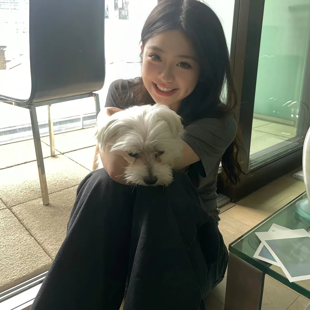 犀牛季节